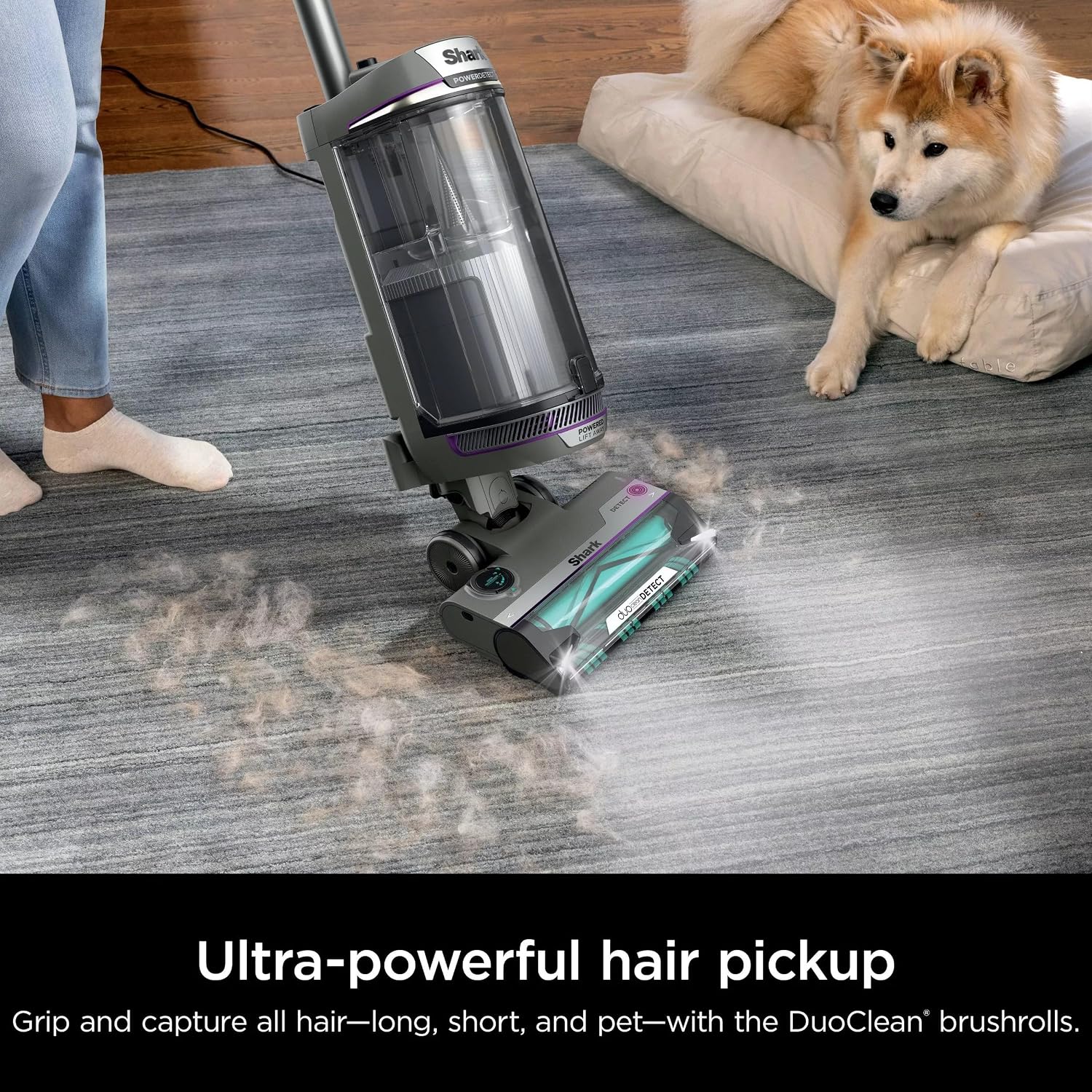Shark AZ3901 POWERDETECT Upright Vacuum Cleaner with DuoClean Technology, Odor Neutralizer Technology, Powered Lift-Away, Self Cleaning Brushroll, Anti-Allergen Complete Seal (Renewed)