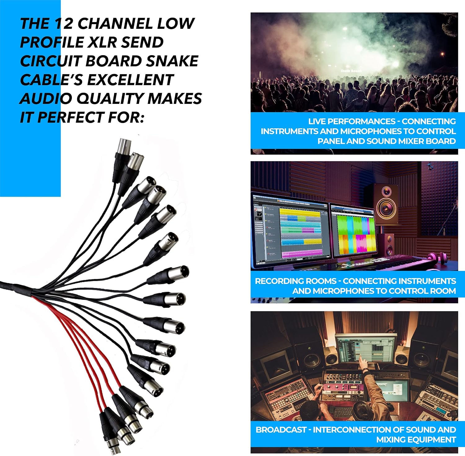 Seismic Audio Speakers 12 Channel Low Profile XLR Send Circuit Board Snake Cable, XLR Splitter Cable, 50 Feet