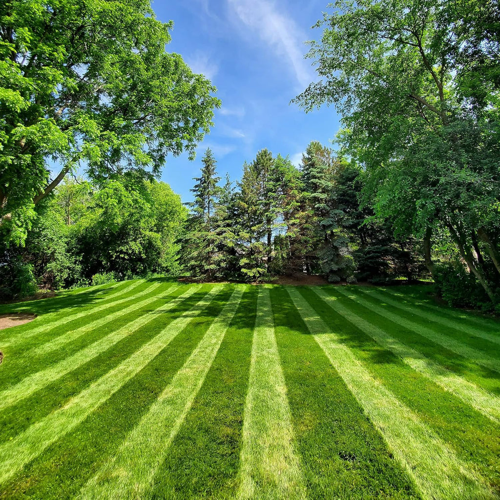 Lawn Stryper- Generation 3 Lawn Striping System/Stripe Your Lawn Like A Ballpark/ONLY Works with Honda 20'-22' Residential Walk-Behind Lawn Mowers